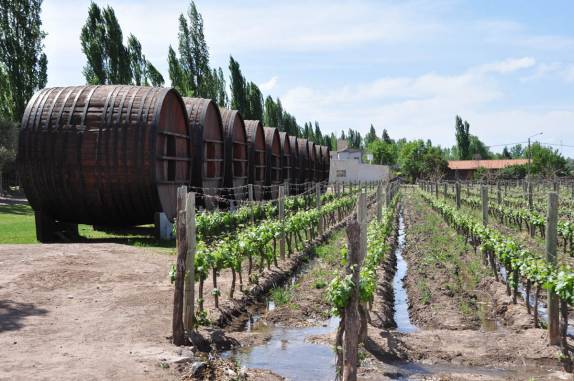 Visita à vinícola San Huberto, em Mendoza, na Argentina